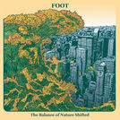 Foot