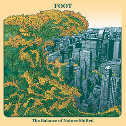 Picture of Foot