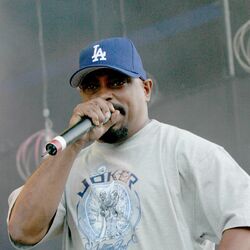 Picture of Mellow Man Ace