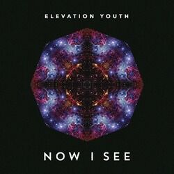 Picture of Elevation Youth
