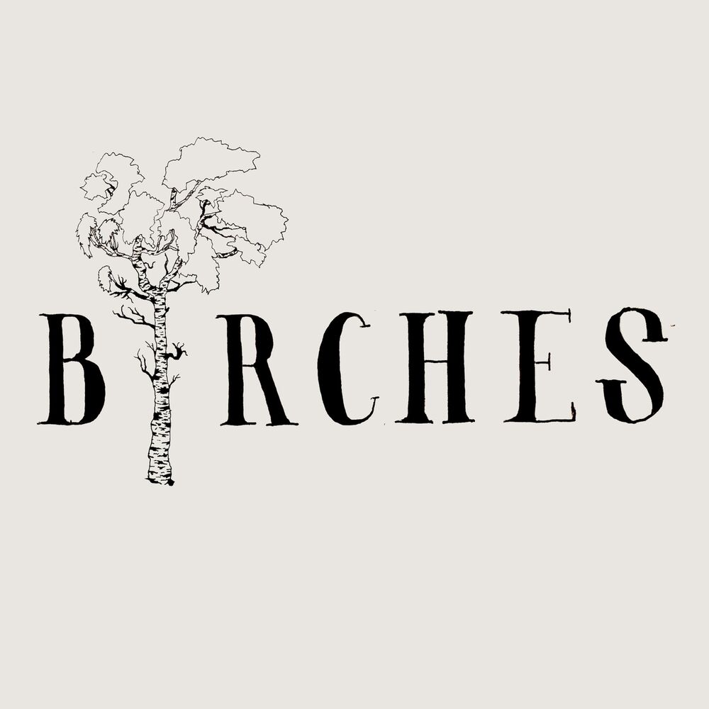 Picture of Birches