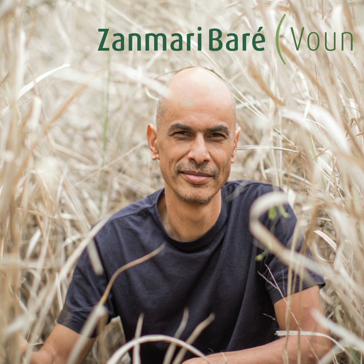 Zanmari Baré