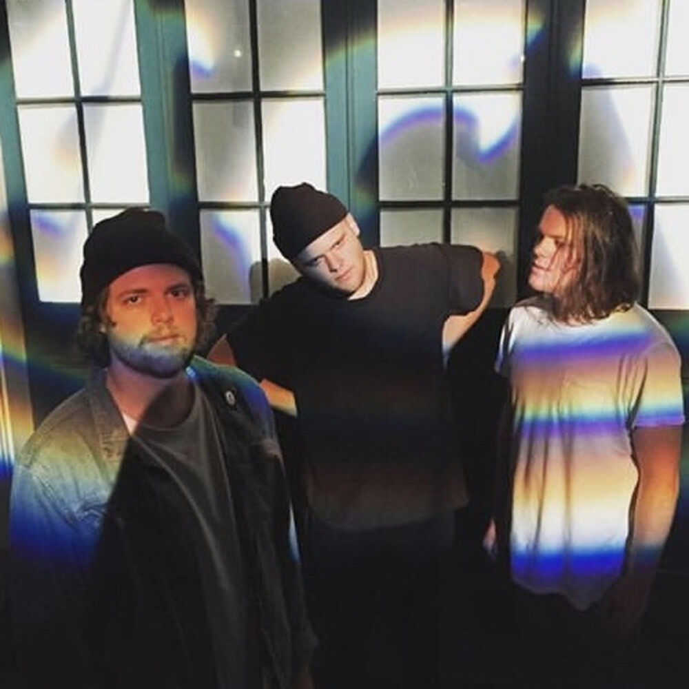 Picture of Goldensuns