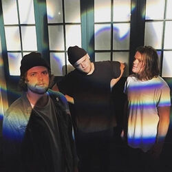 Picture of Goldensuns