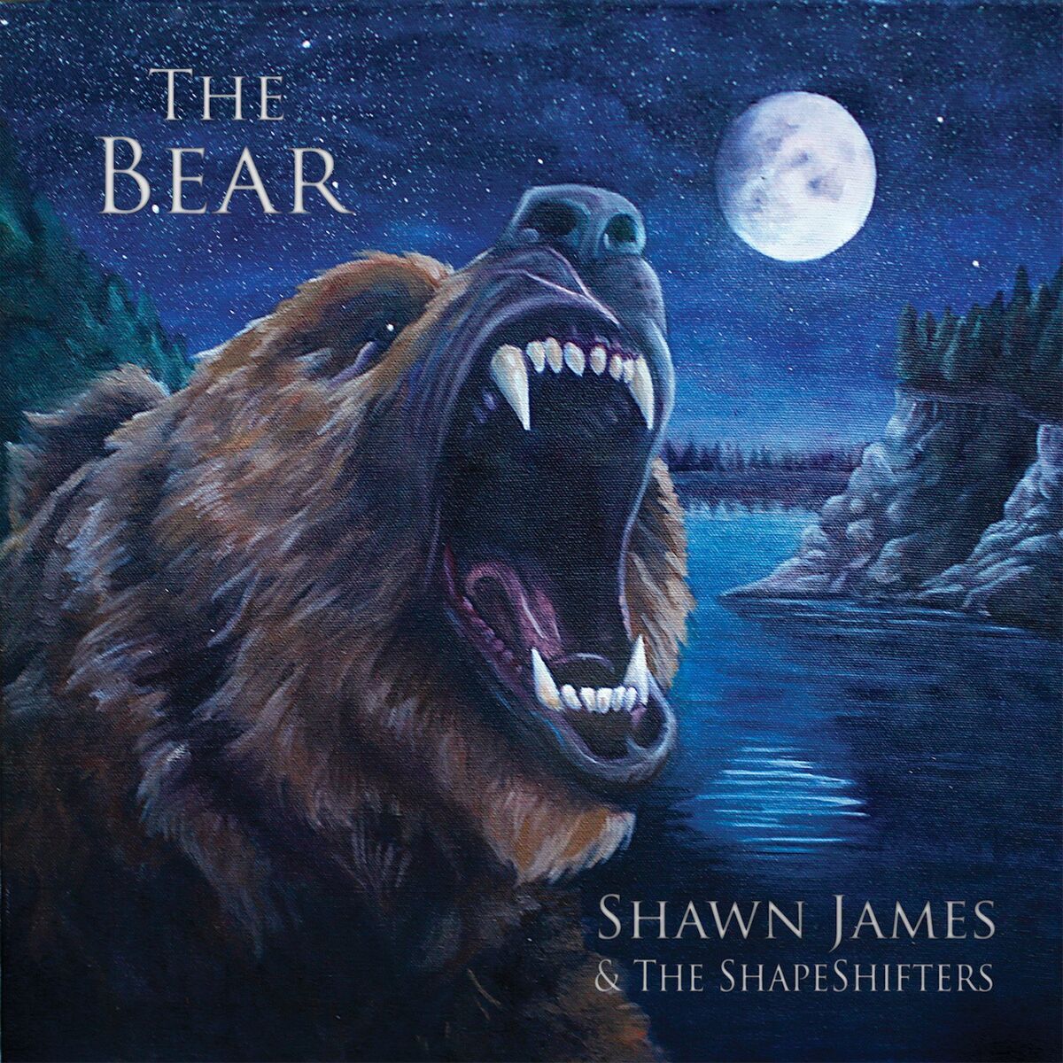 Shawn James & the Shapeshifters