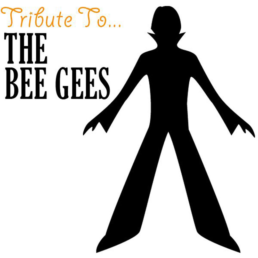 Photo de l'artiste The Gee Bees