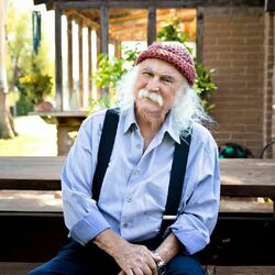 Picture of David Crosby