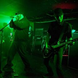 Picture of Parabelle