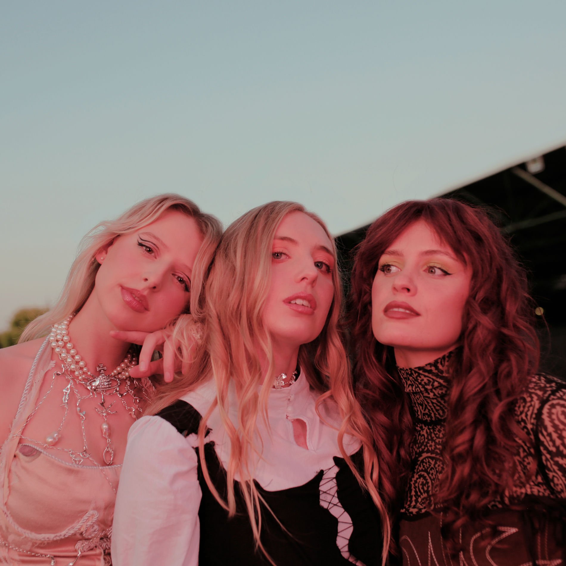 Artist picture of Blusher