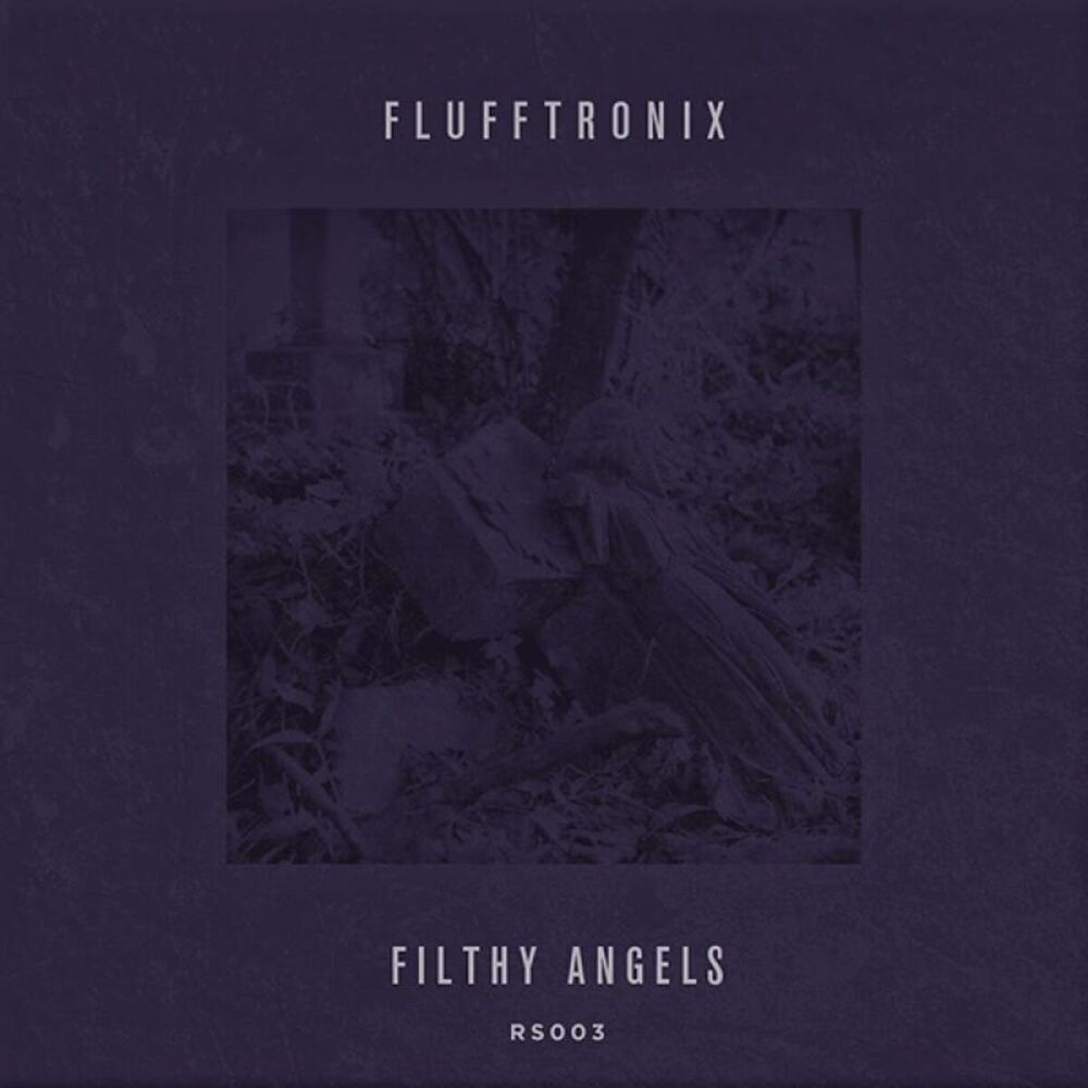 Picture of Flufftronix