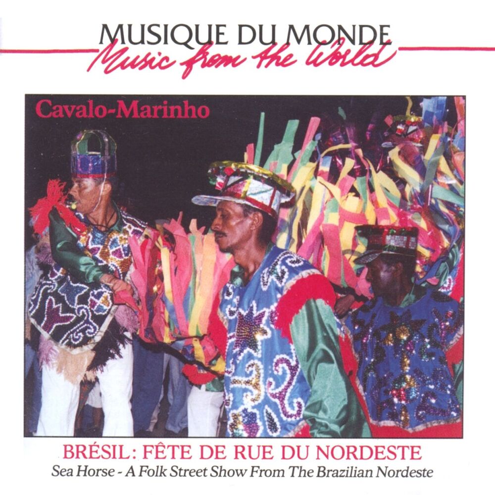 Picture of Cavalo-marinho