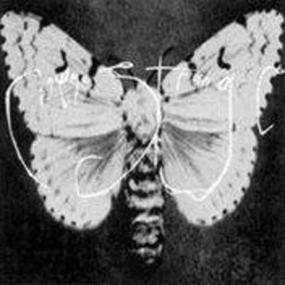 Picture of Cinema Strange