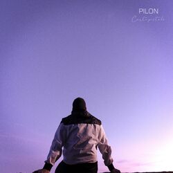 Picture of Pilon
