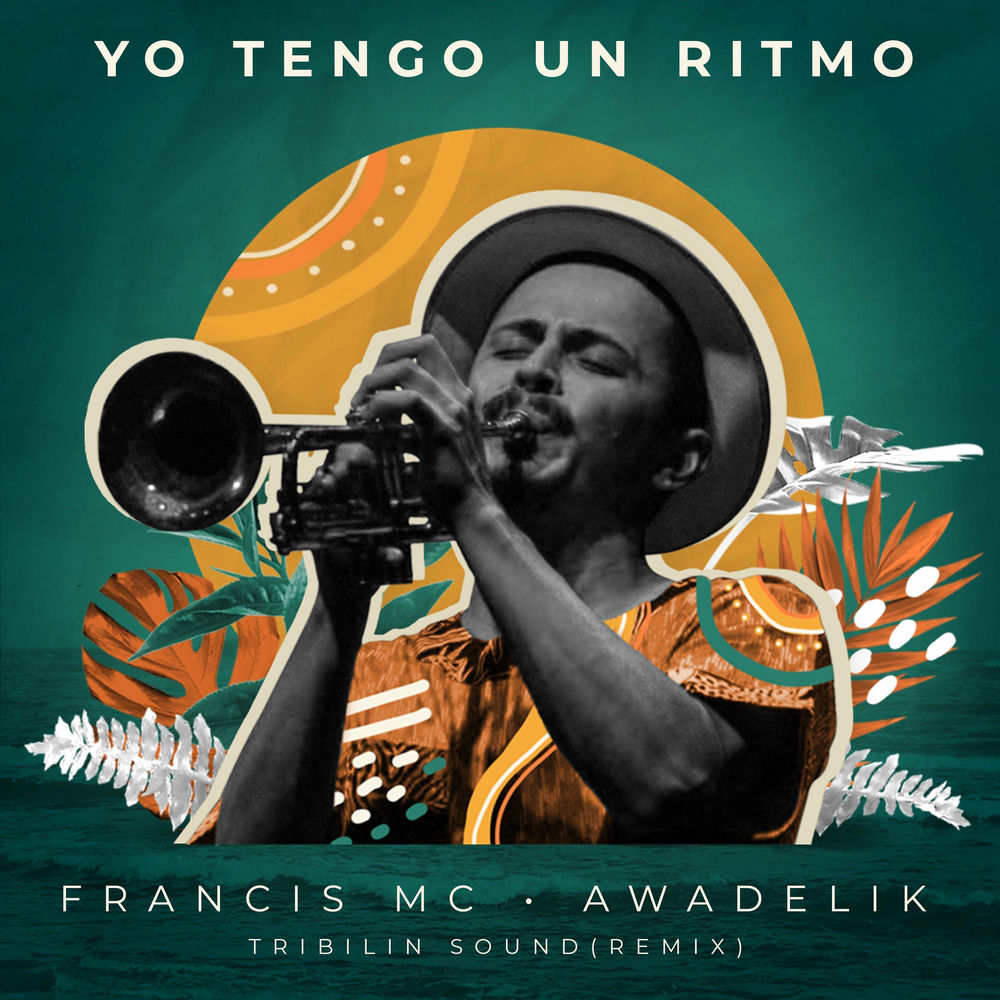 Photo de l'artiste francis mc