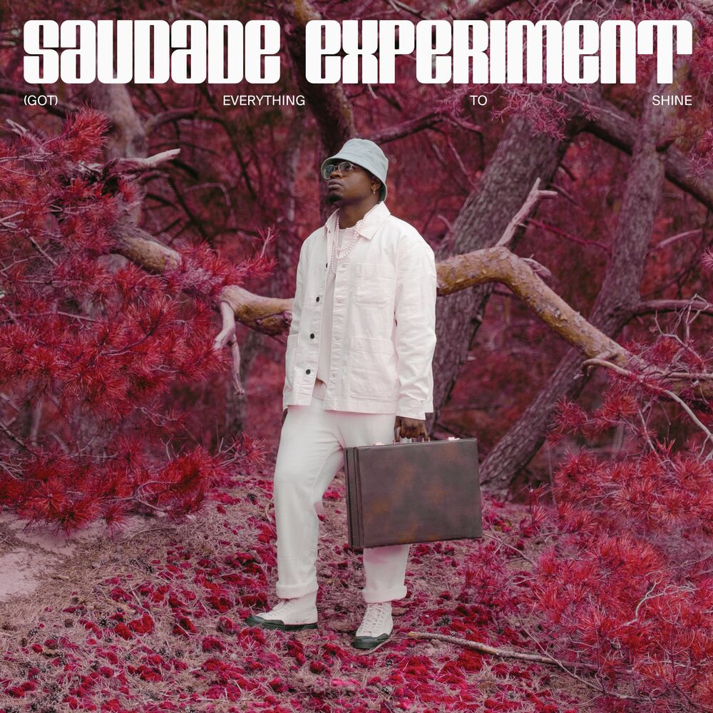 Picture of Saudade Experiment
