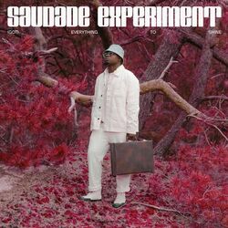 Picture of Saudade Experiment
