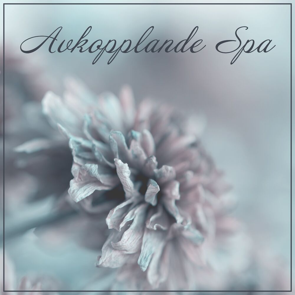 Picture of Lugn spa universum