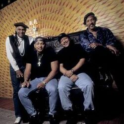 Picture of The Neville Brothers