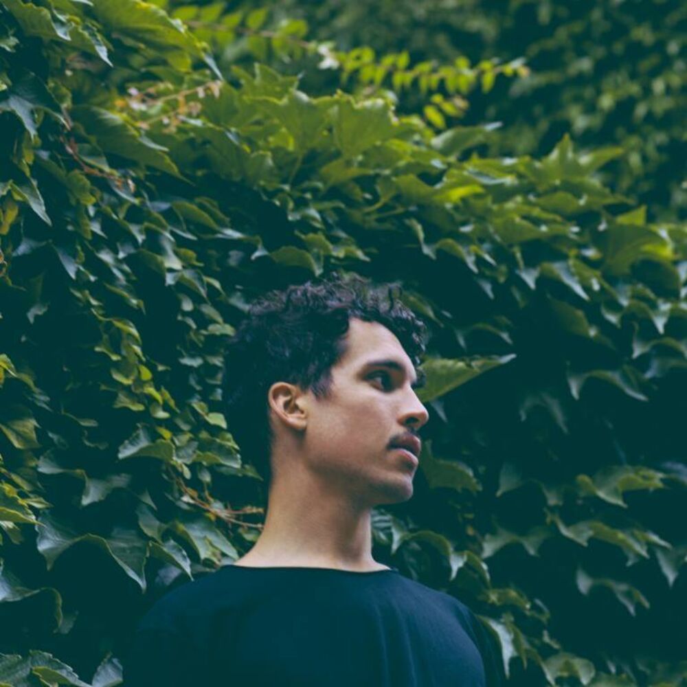 Picture of Dauwd
