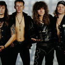 X - Wild