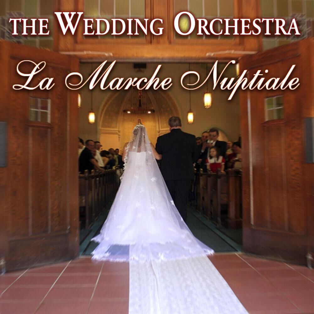 Picture of The Wedding Orchestra