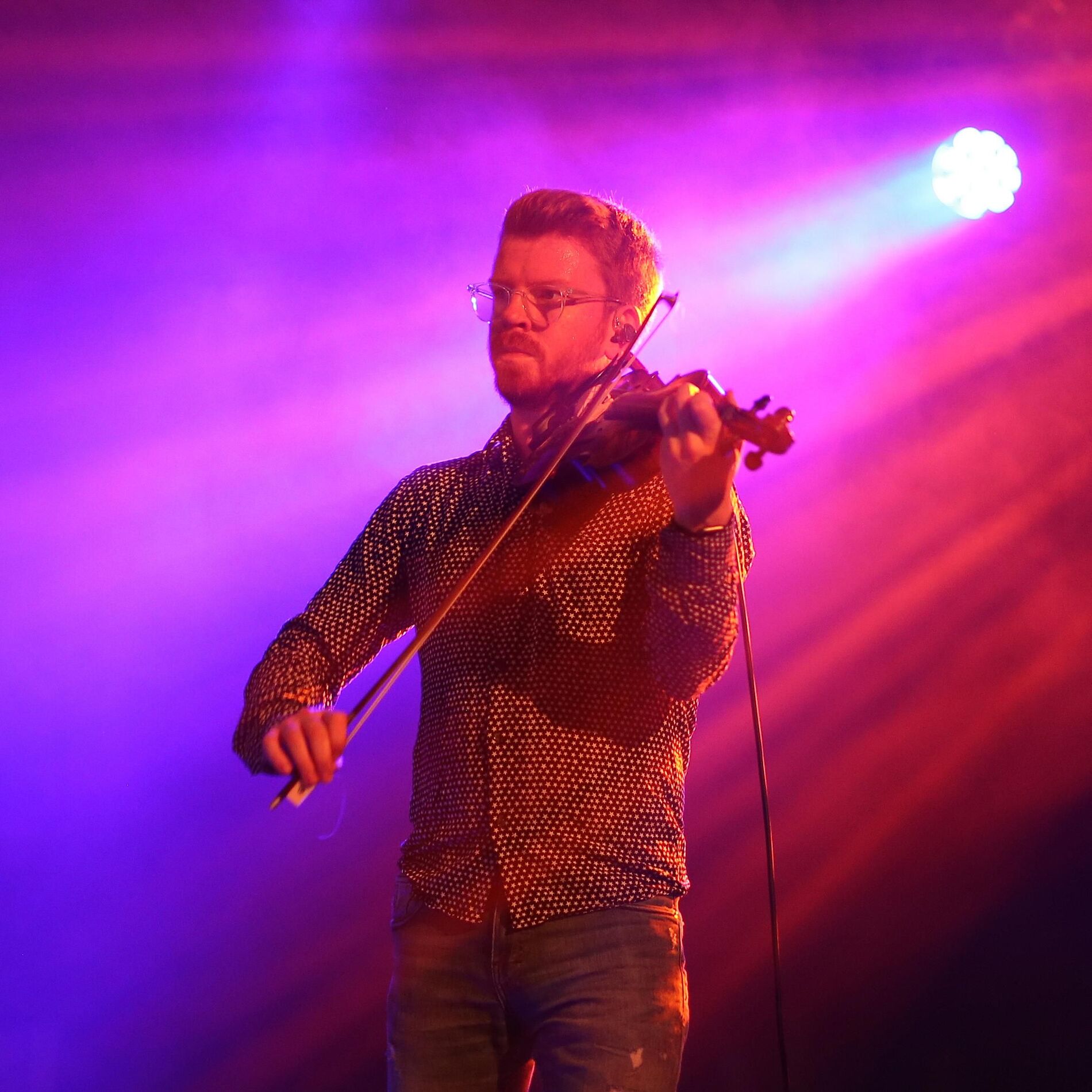 Peatbog Faeries