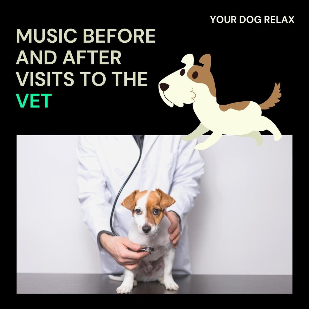 Picture of Your Dog Relax