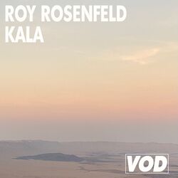 Roy Rosenfeld