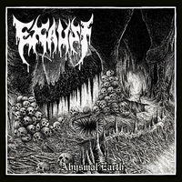 exaust