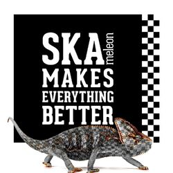 Picture of skameleon