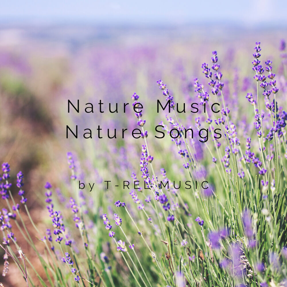 Picture of Nature Music Nature Songs