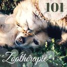 Les Animaux & Musique Relaxante Univers