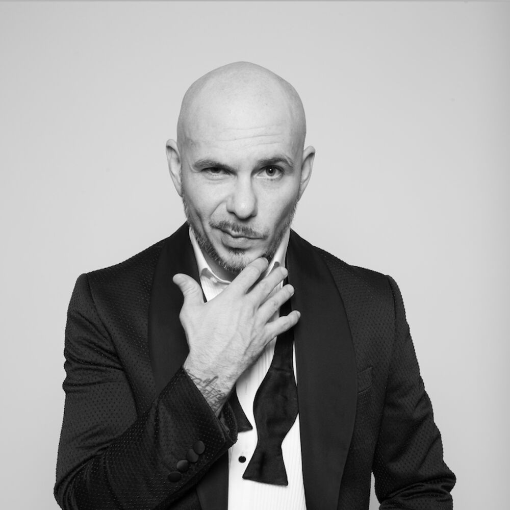 Picture of Pitbull