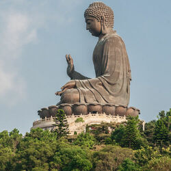 Picture of Chakra