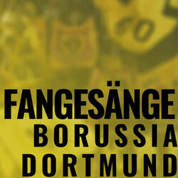 Picture of BVB Ultras