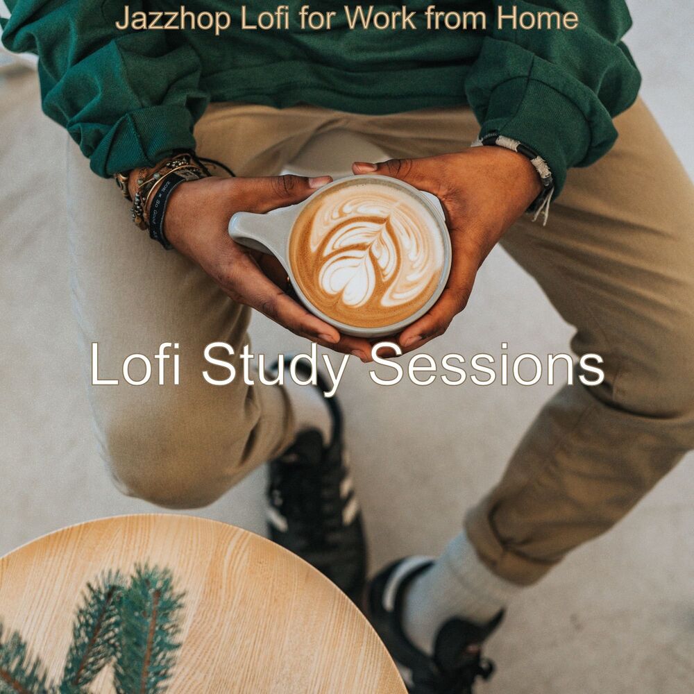 Picture of Lofi Study Sessions
