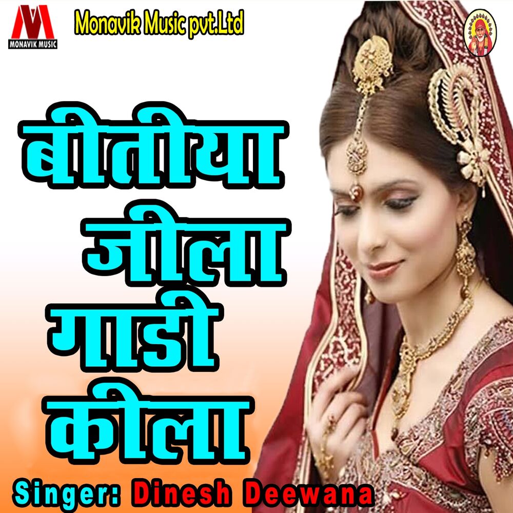 Picture of Dinesh Deewana