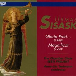 Picture of The Chamber Choir Eesti Projekt