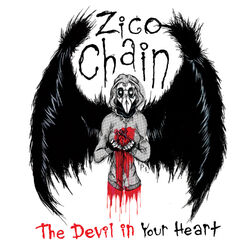 Picture of Zico Chain