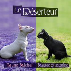 Picture of Matteo Pastorino