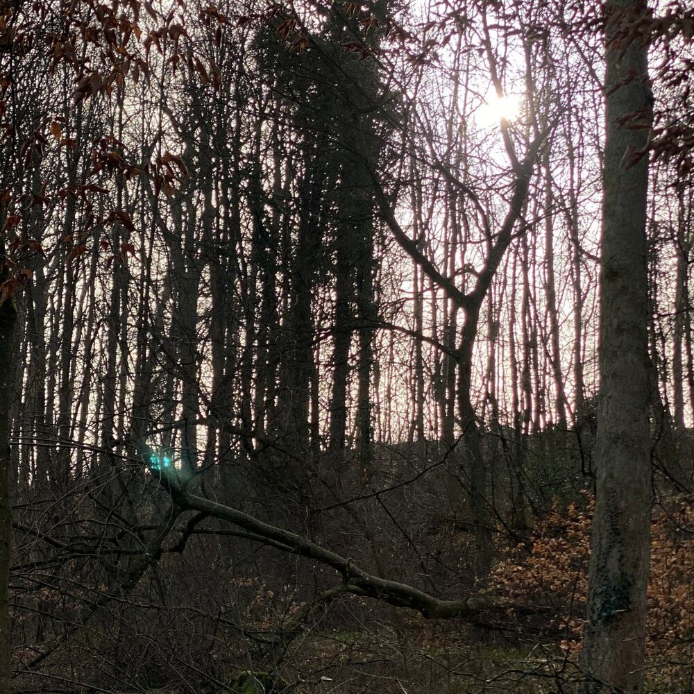 Picture of Naturevibe