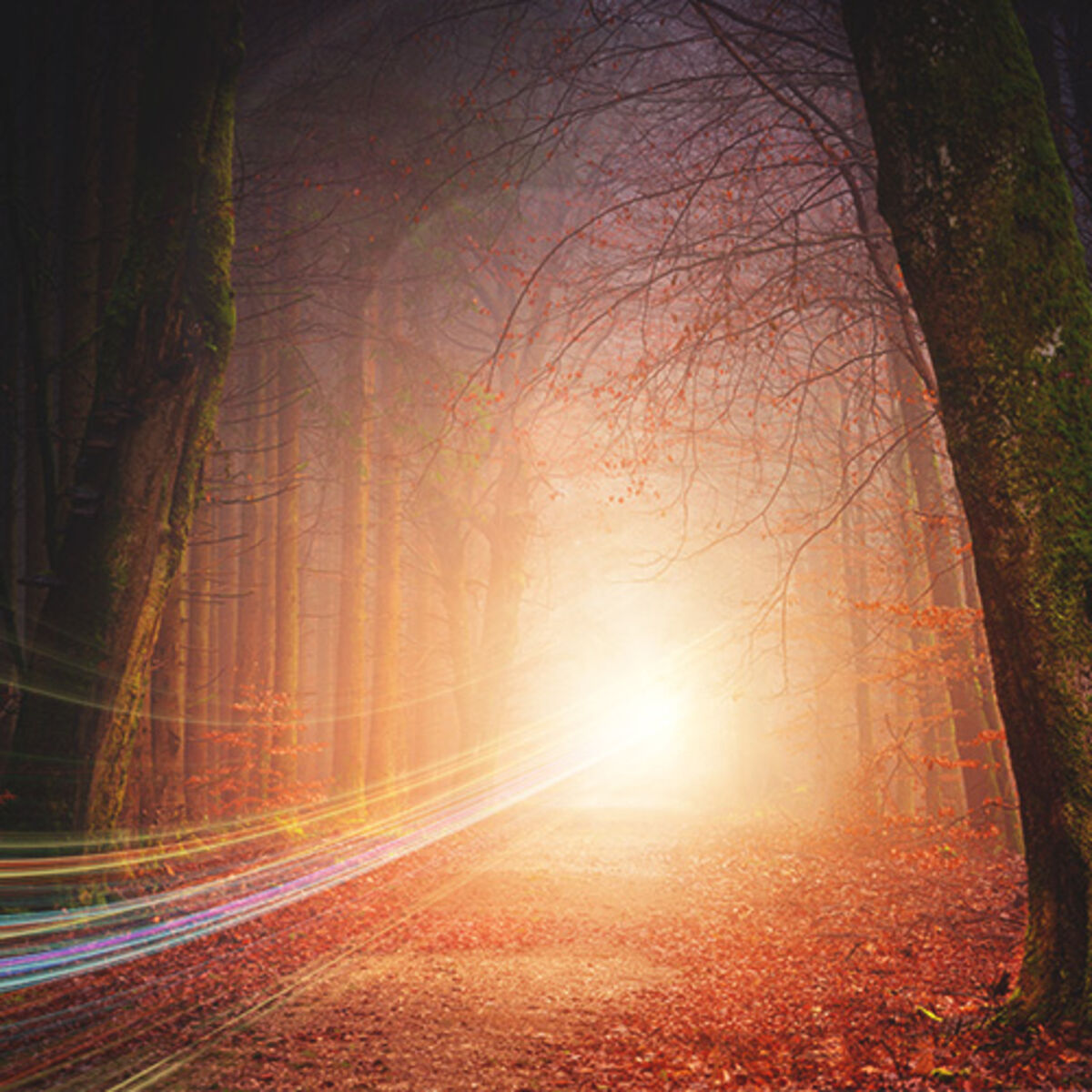Filtered Light