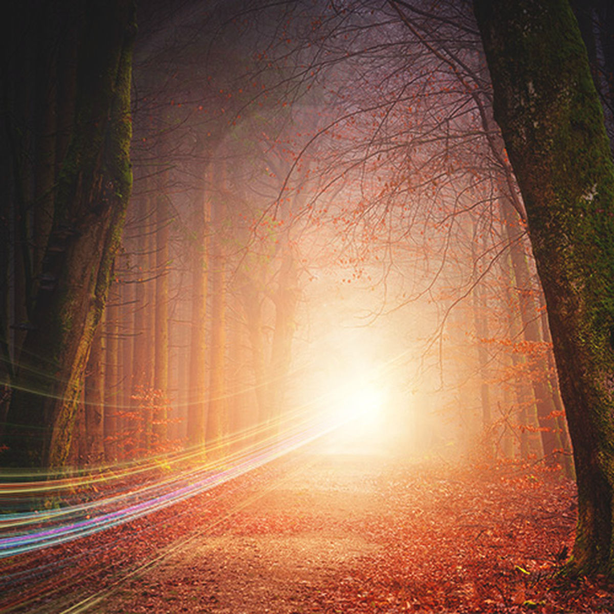 Artist picture of Filtered Light