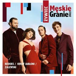 Picture of Męskie Granie Orkiestra 2022