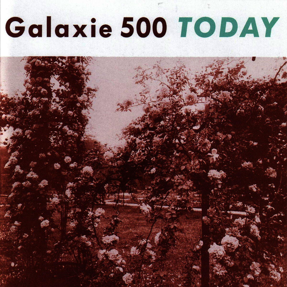 Galaxie 500