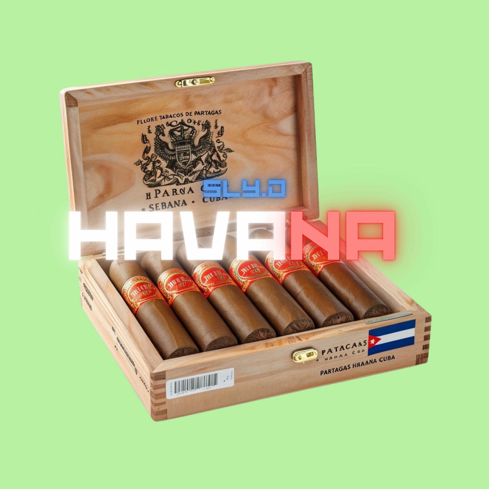 Photo de l'artiste Sly.D