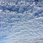 Caduceus