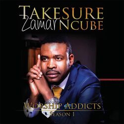 Picture of Takesure Zamar Ncube
