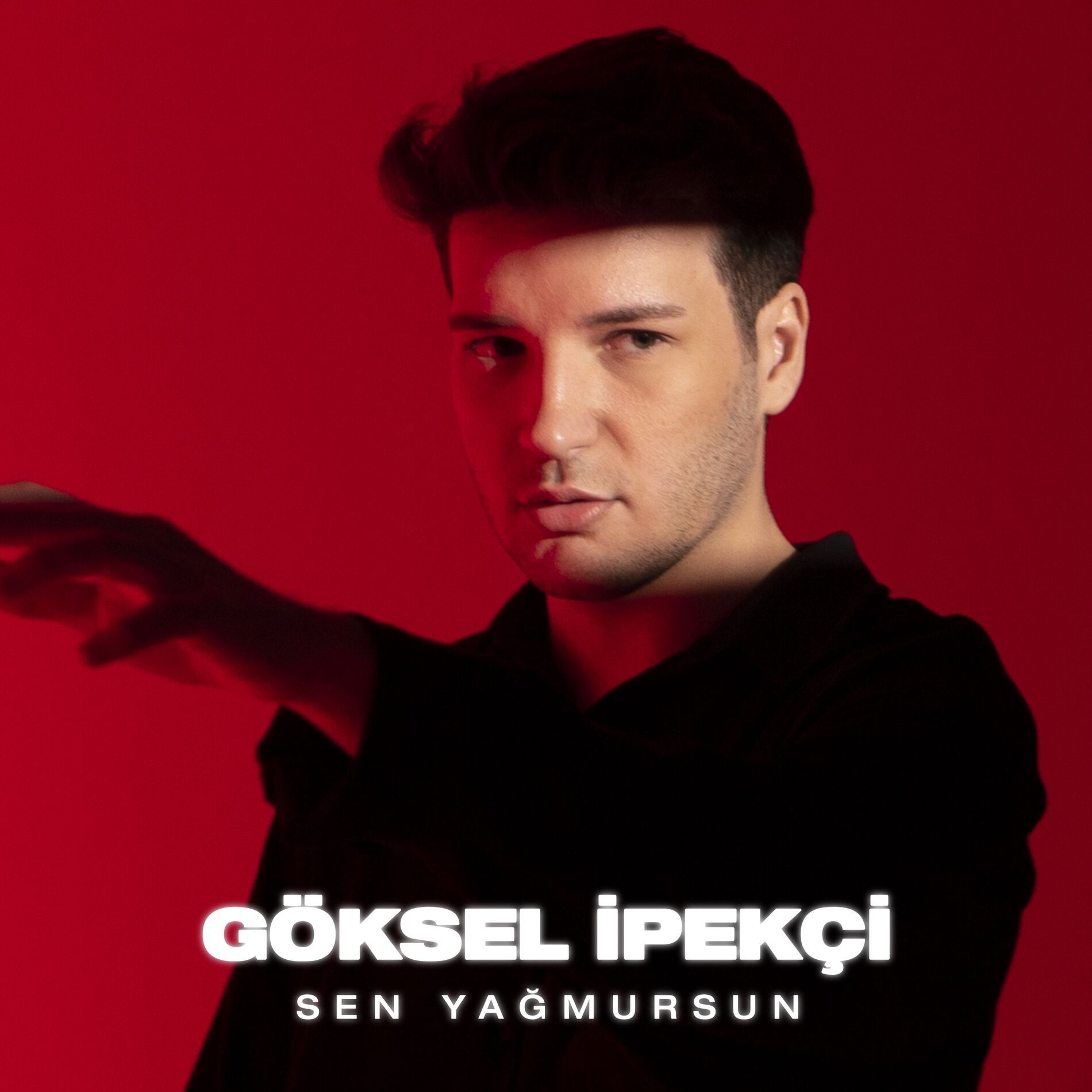 Göksel İpekçi