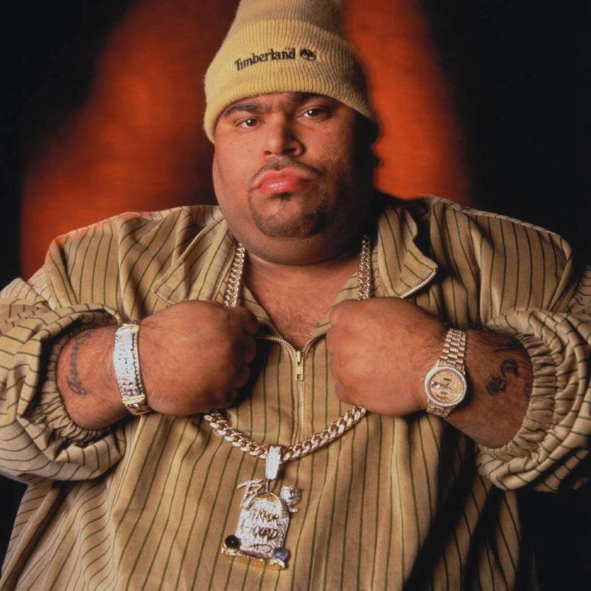 Artist picture of Big Punisher